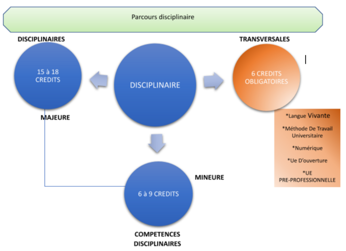 La licence Parcours disciplinaire est composée d'une discipline majeure représentant 15 à 18 crédits, une discipline mineure représentant 6 à 9 crédits et 6 crédits obligatoires correspondant aux compétences transversales : langue vivante, méthode de travail universitaire, numérique, unités d'enseignement d'ouverture, unité d'enseignement pré-professionnelle.  