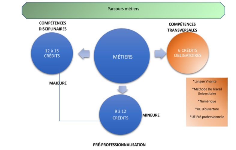 La licence parcours métiers est composée d'une discipline majeure représentant 12 à 15 crédits, une mineure dédiée à la préprofessionnalisation (stage, conduite de projets, mobilité à l'international) représentant 9 à 12 crédits, et 6 crédits obligatoires correspondant aux compétences transversales : langue vivante, méthode de travail universitaire, numérique, unités d'enseignement d'ouverture, unité d'enseignement pré-professionnelle